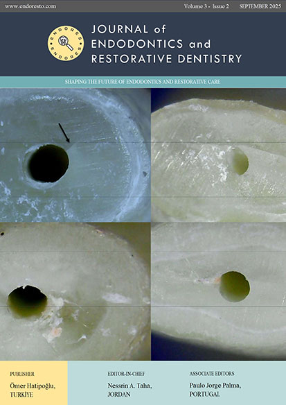 					View Volume 3 Issue 2
				